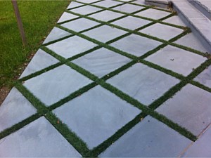 bluestone paver patio with grass in between laurel hollow